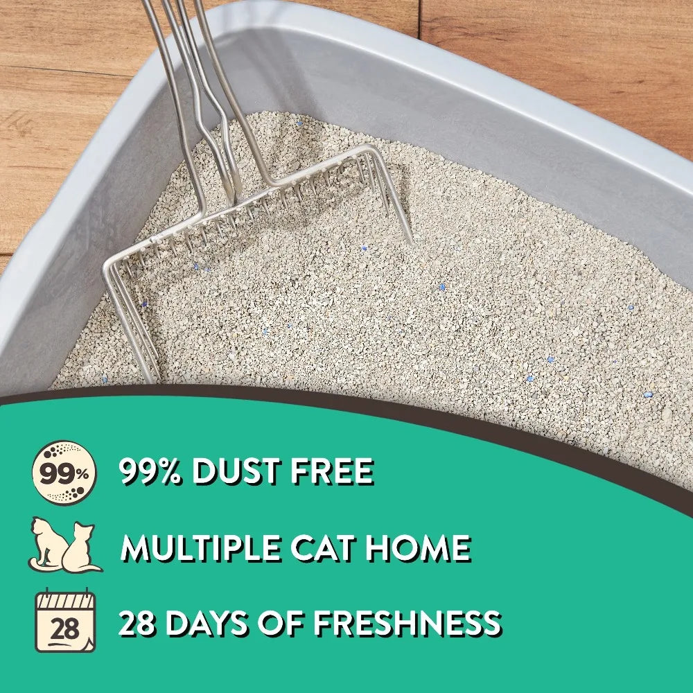 Scoopable Clumping Cat Litter Fresh Scent Multi Cat 4 Pack