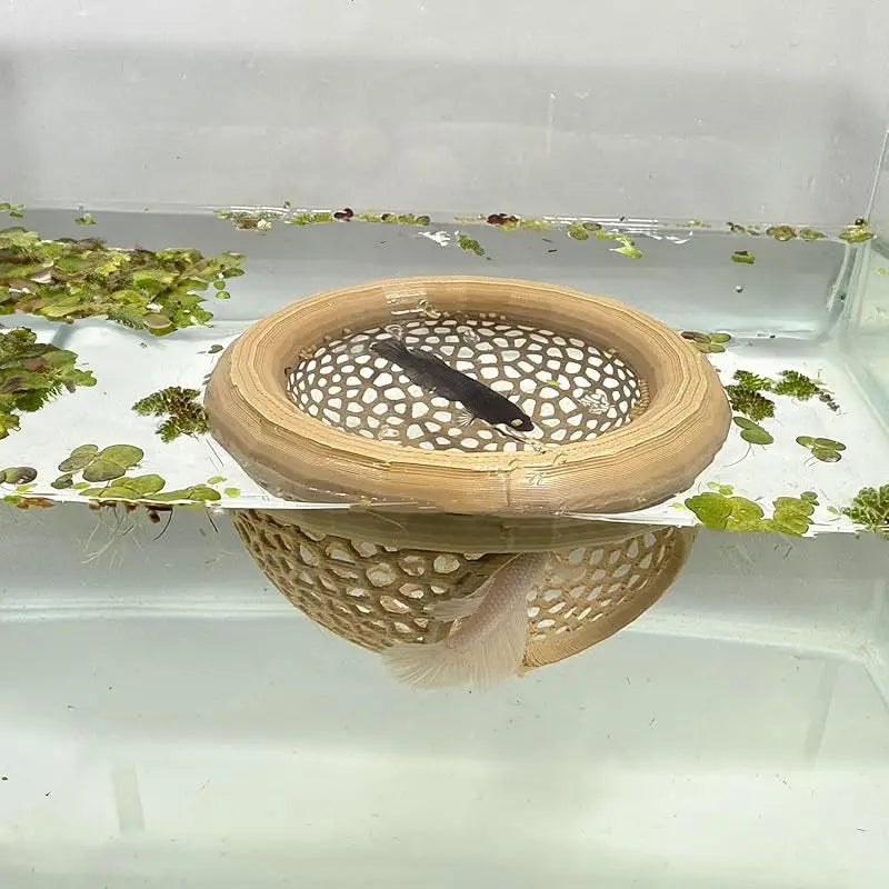 Choice Aquarium Floating Cave Betta Hideout Three In One Hammock