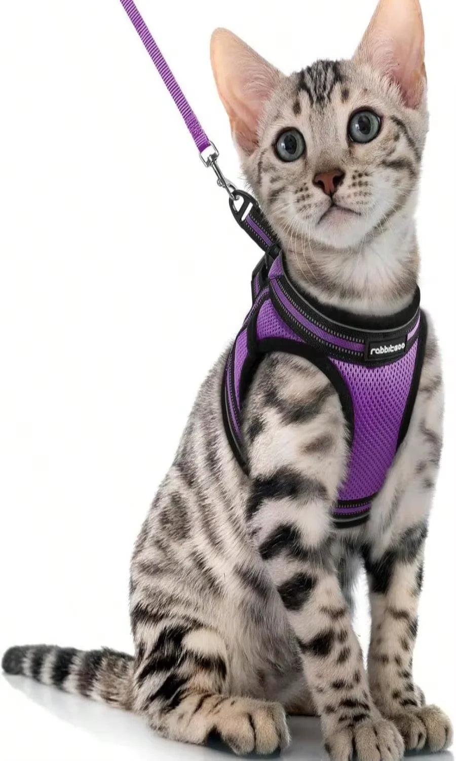 AEHOME Escape Proof Cat Harness And Leash Set Reflective