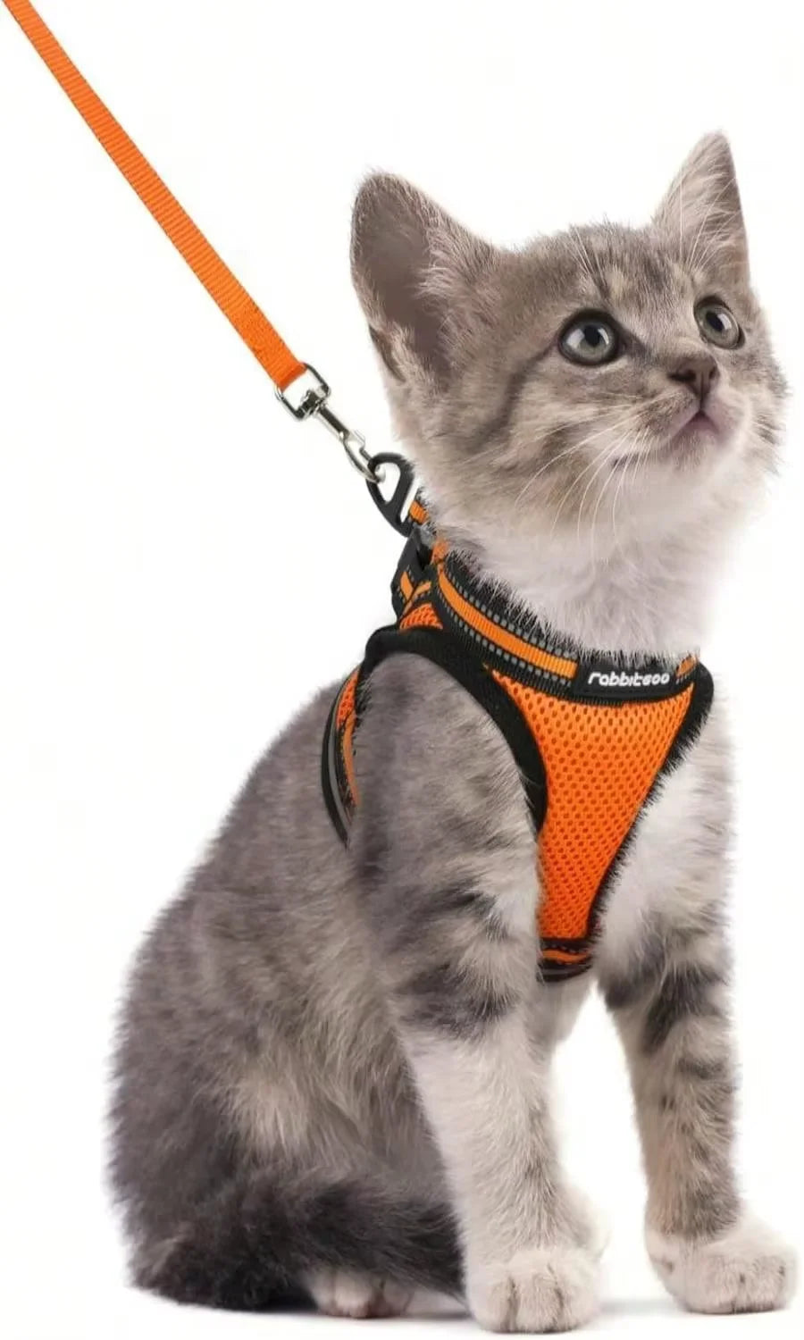 AEHOME Escape Proof Cat Harness And Leash Set Reflective