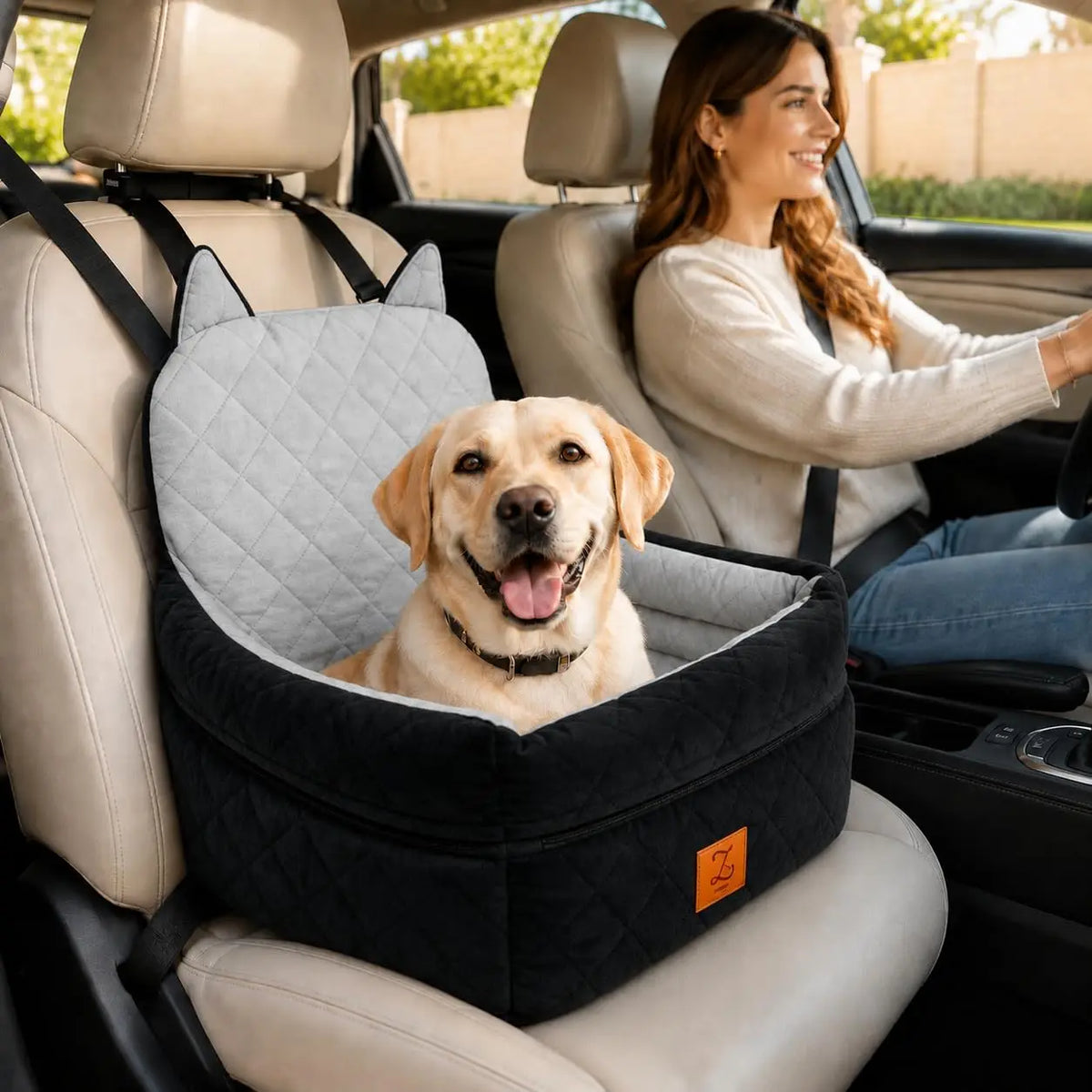 Elevated Pet Car Seat With Safety Belt And Washable Cover