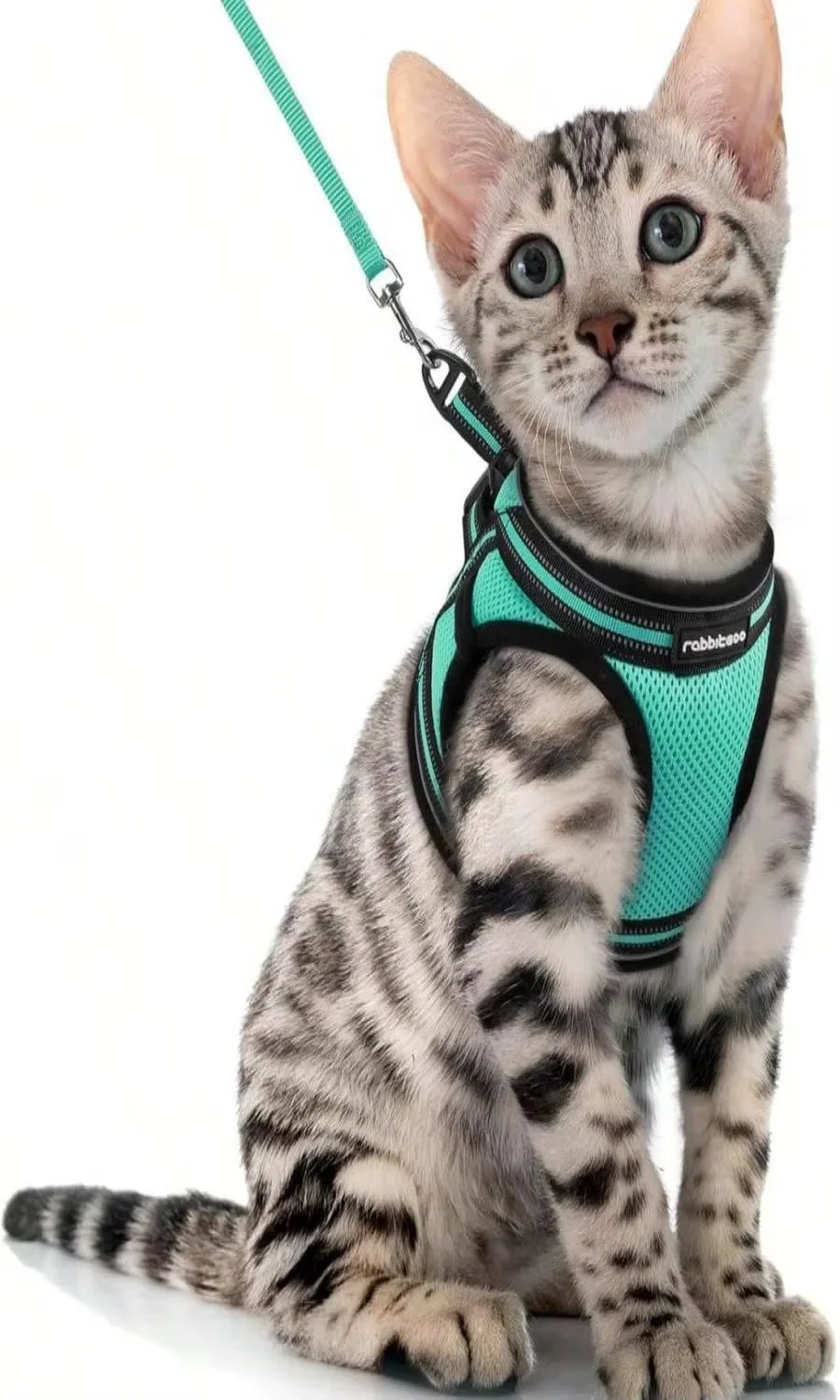 AEHOME Escape Proof Cat Harness And Leash Set Reflective