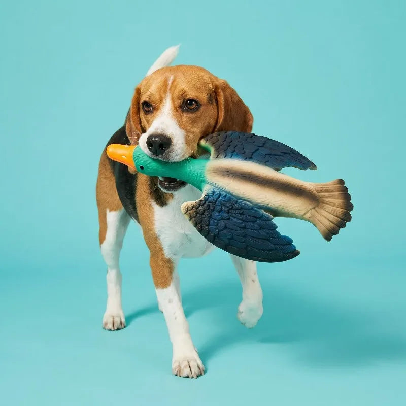 Duck Dog Toy With Squeaker For Interactive Chew Play