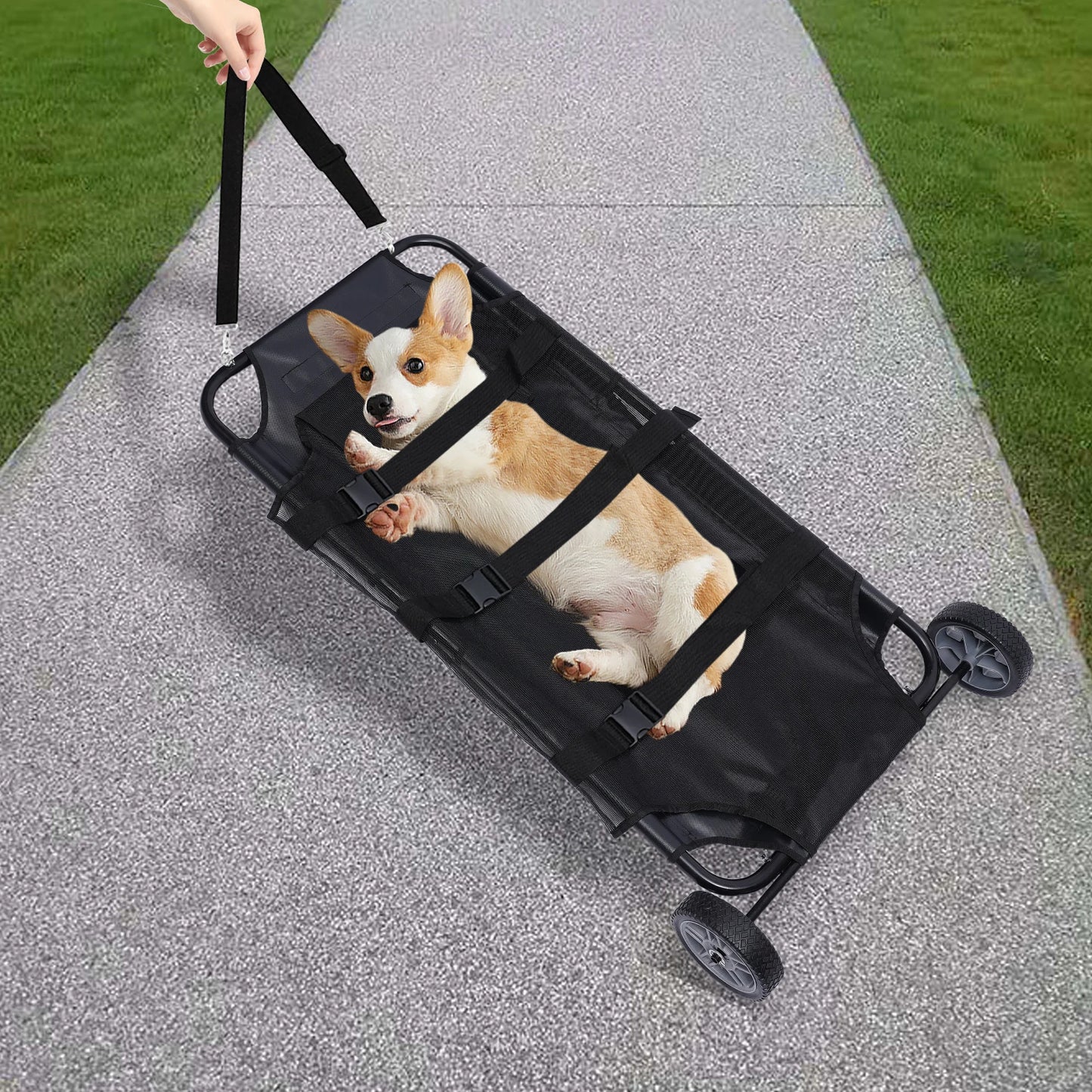 Pet Stretcher Veterinary Transport Bed For Dogs And Cats