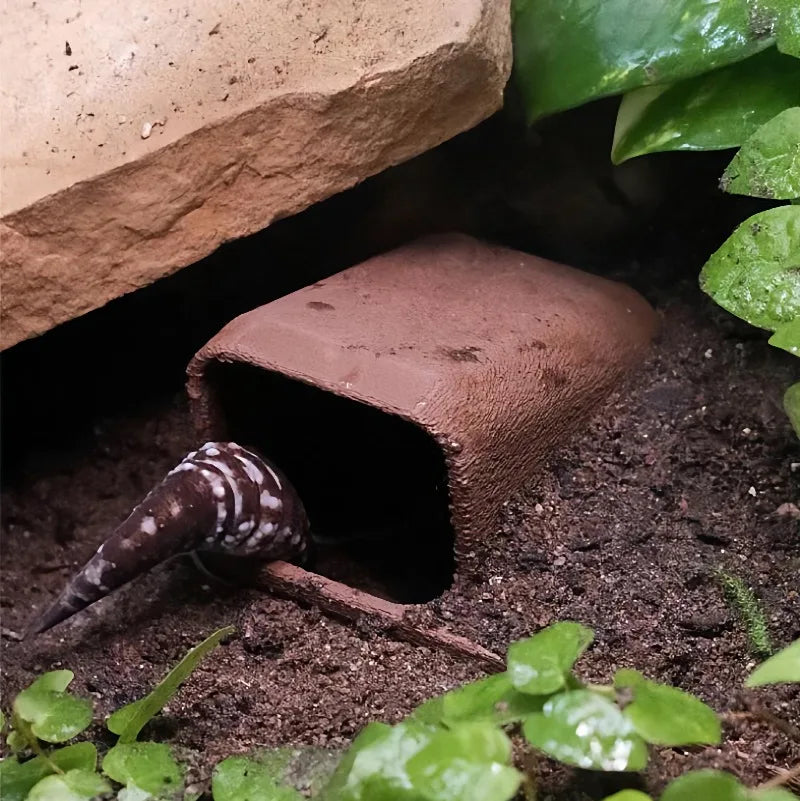 Terrarium Hideout Cave For Reptile Pets Lizards Turtles Spiders