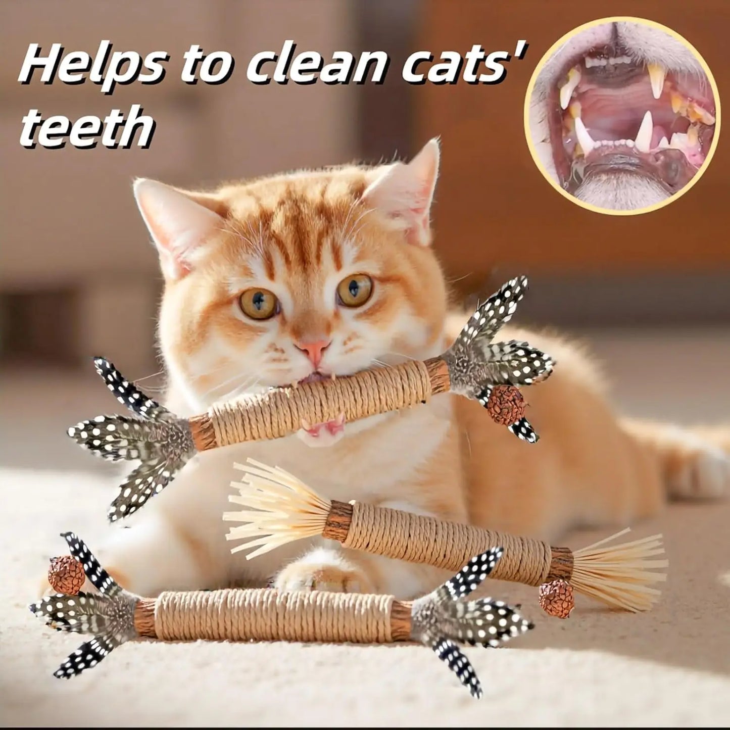 Silver Vine Cat Toys 12 Pack Chewing Sticks Snack