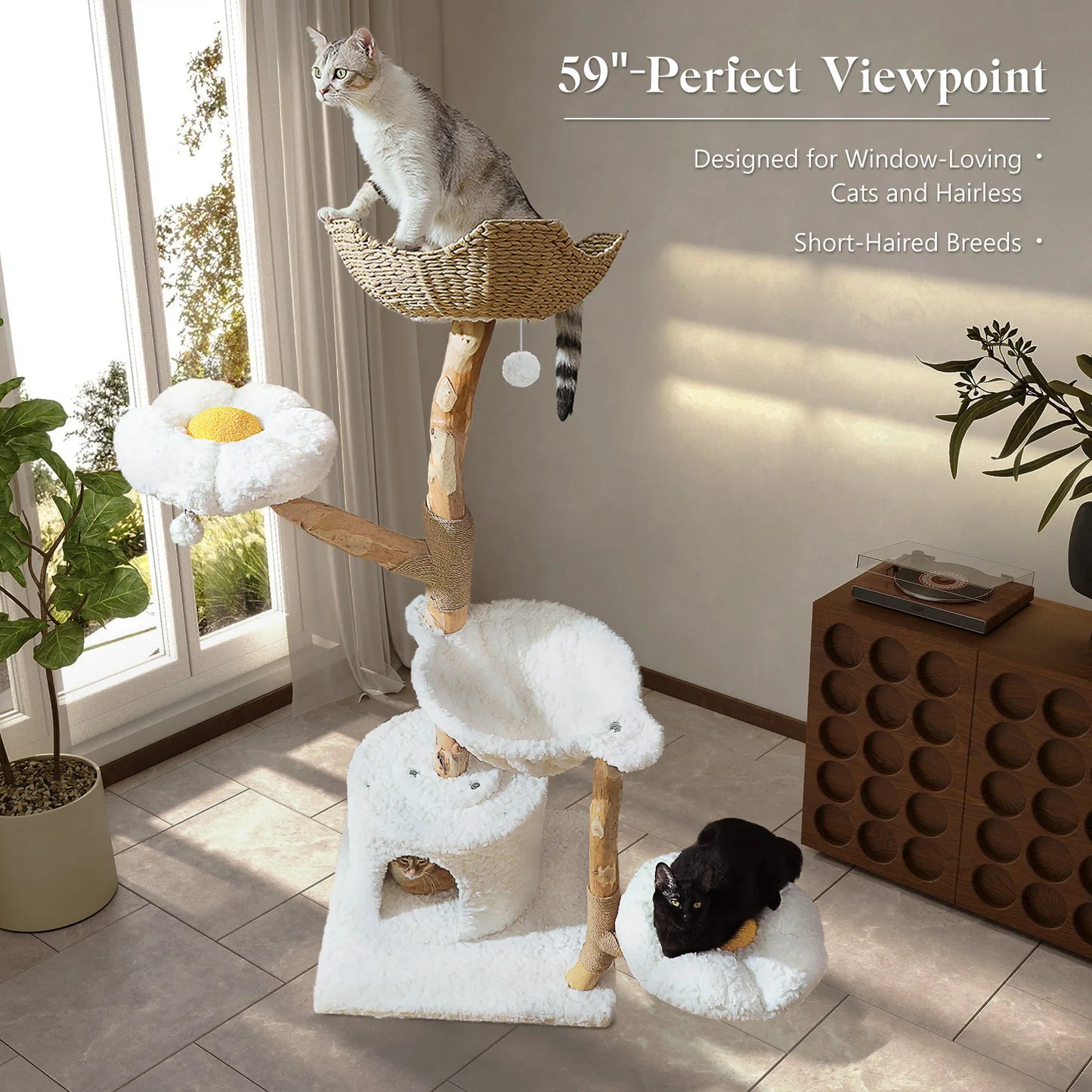 Solid Wood Cat Tree Modern Cat Tower With Condo