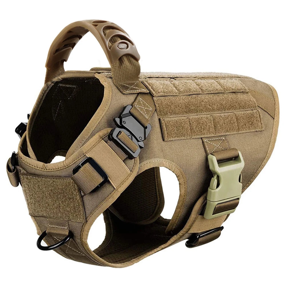 Padded Dog Harness And Leash Set For Training Walking