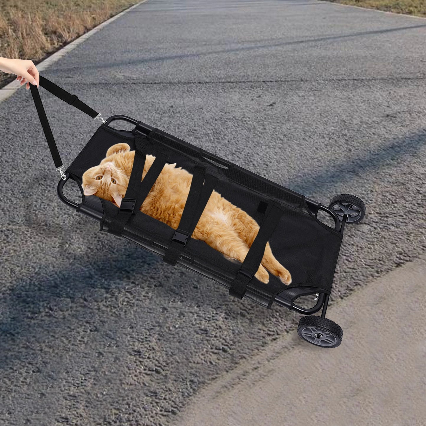 Pet Stretcher Veterinary Transport Bed For Dogs And Cats