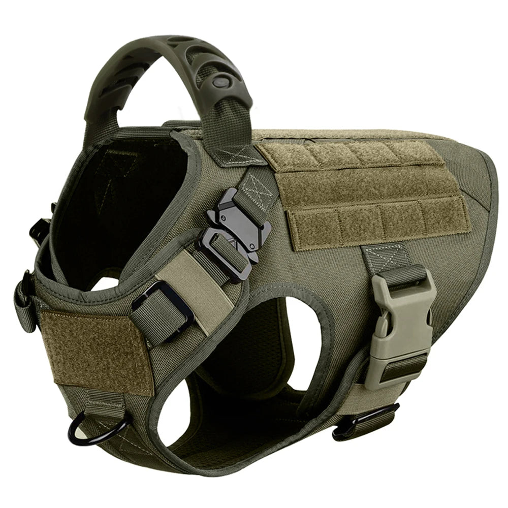 Padded Dog Harness And Leash Set For Training Walking