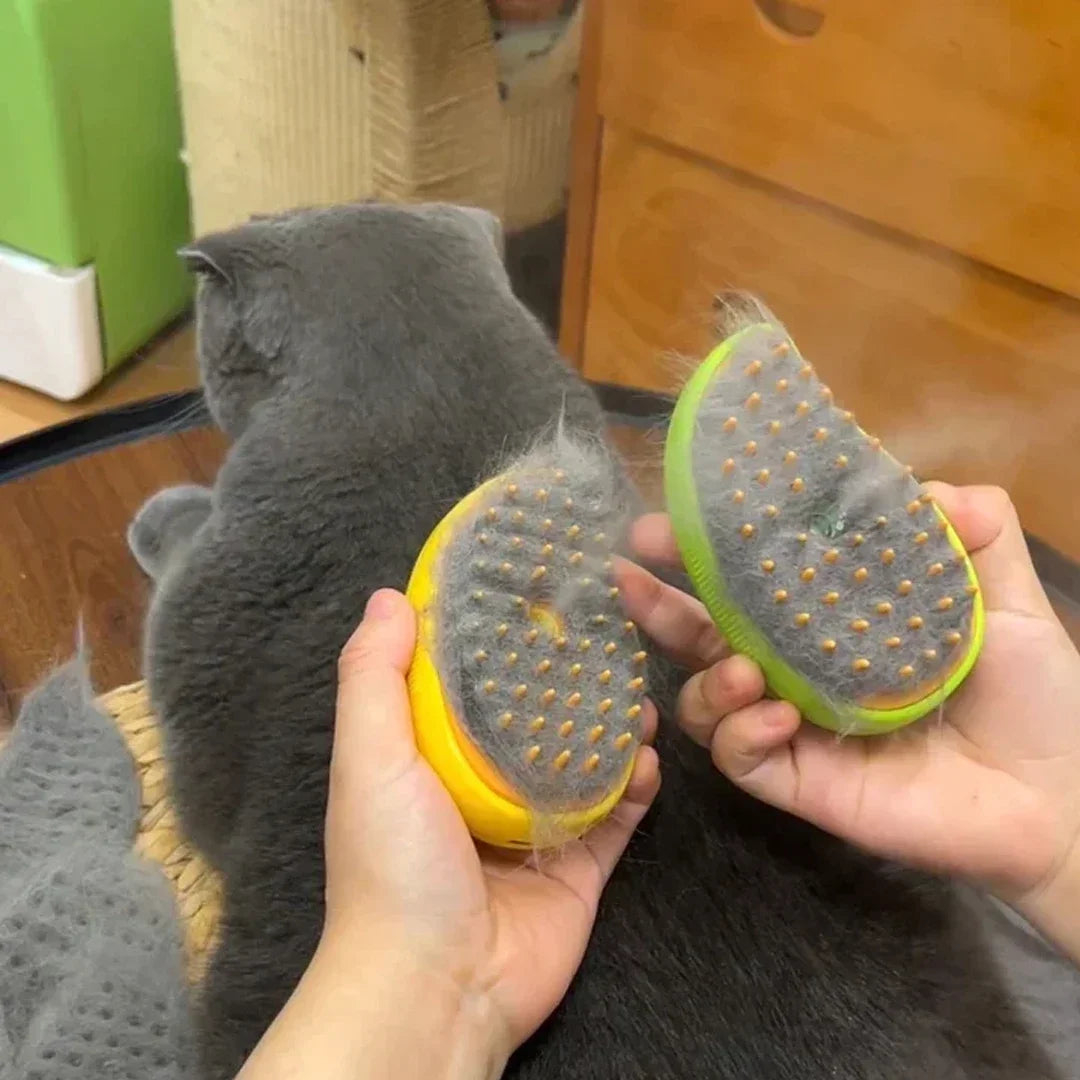 Steamy Brush Electric Sprayer Massage Comb For Cats And Dogs