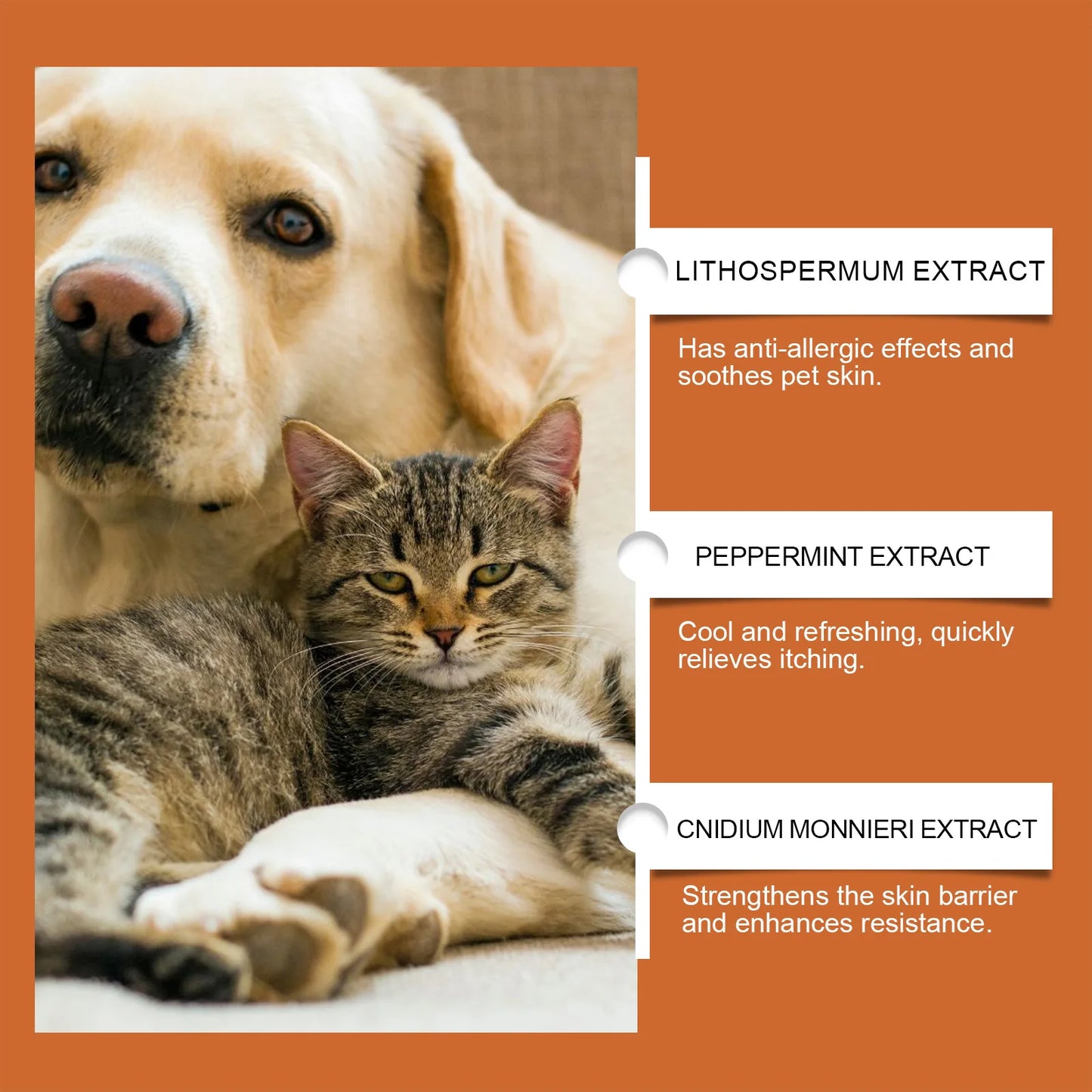 Pet Skin Care Cream for Cats and Dogs Itching Relief Ringworm