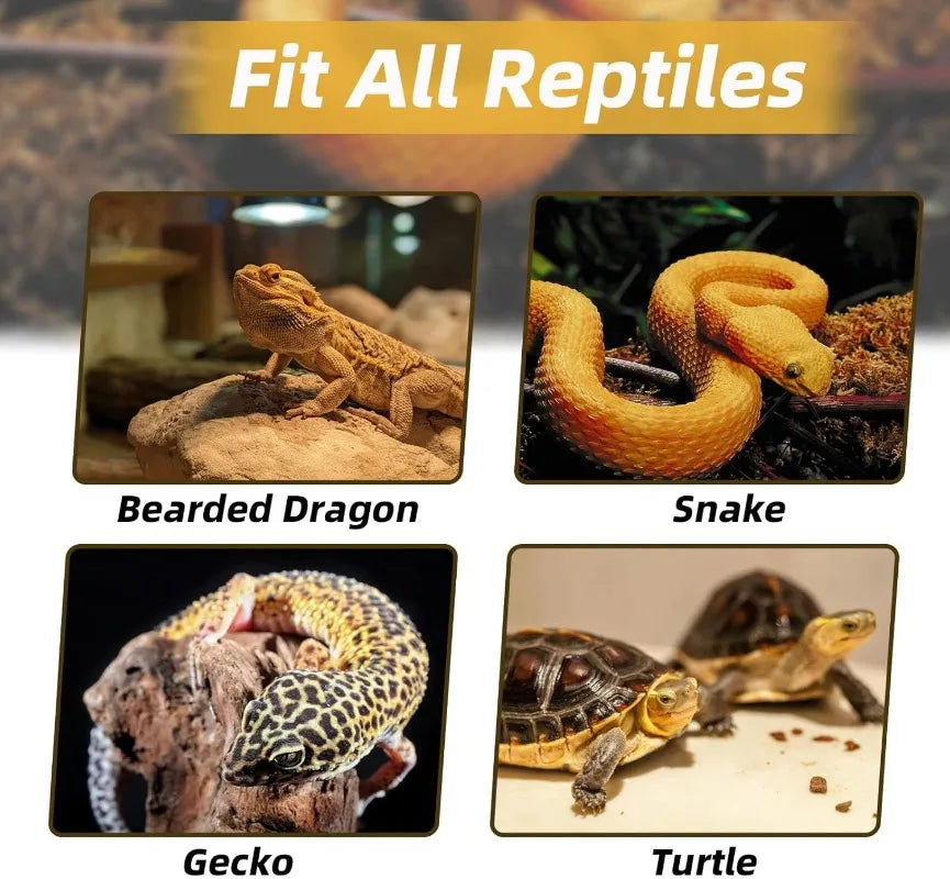 Natural Resin Reptile Climbing Frame Vivarium Decor
