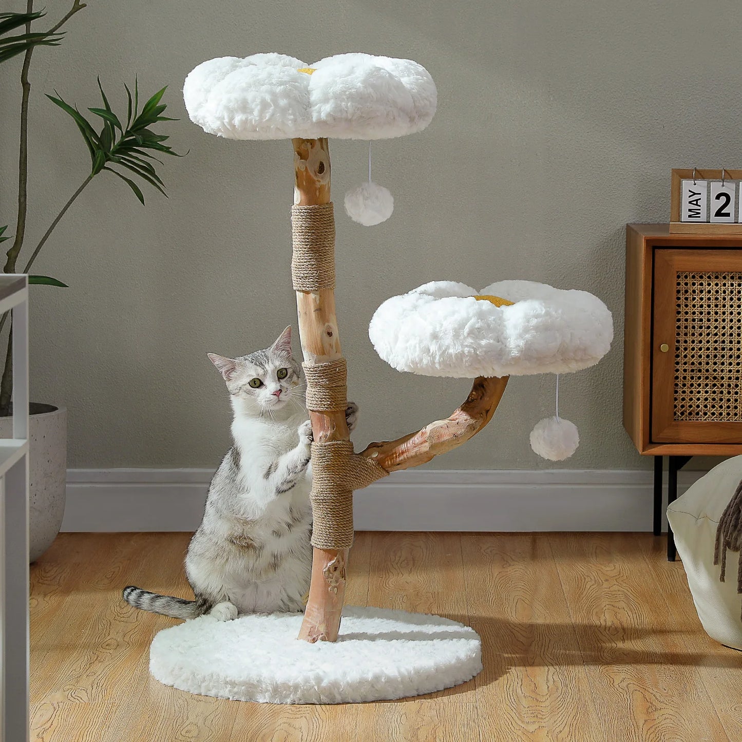Solid Wood Cat Tree Modern Cat Tower With Condo