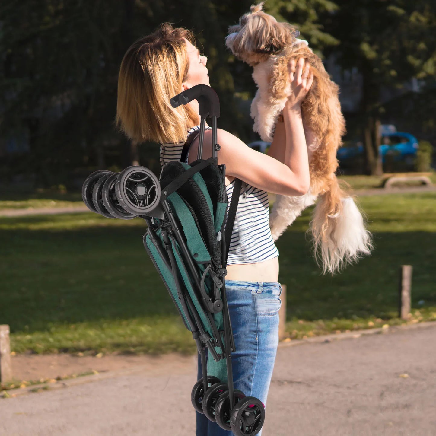 Outdoor Pet Stroller For Cat And Small Dog