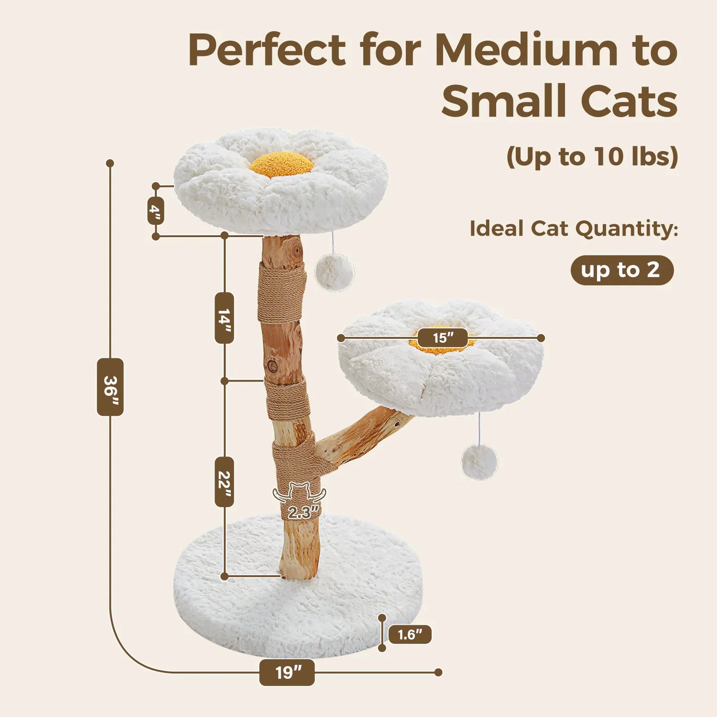 Solid Wood Cat Tree Modern Cat Tower With Condo
