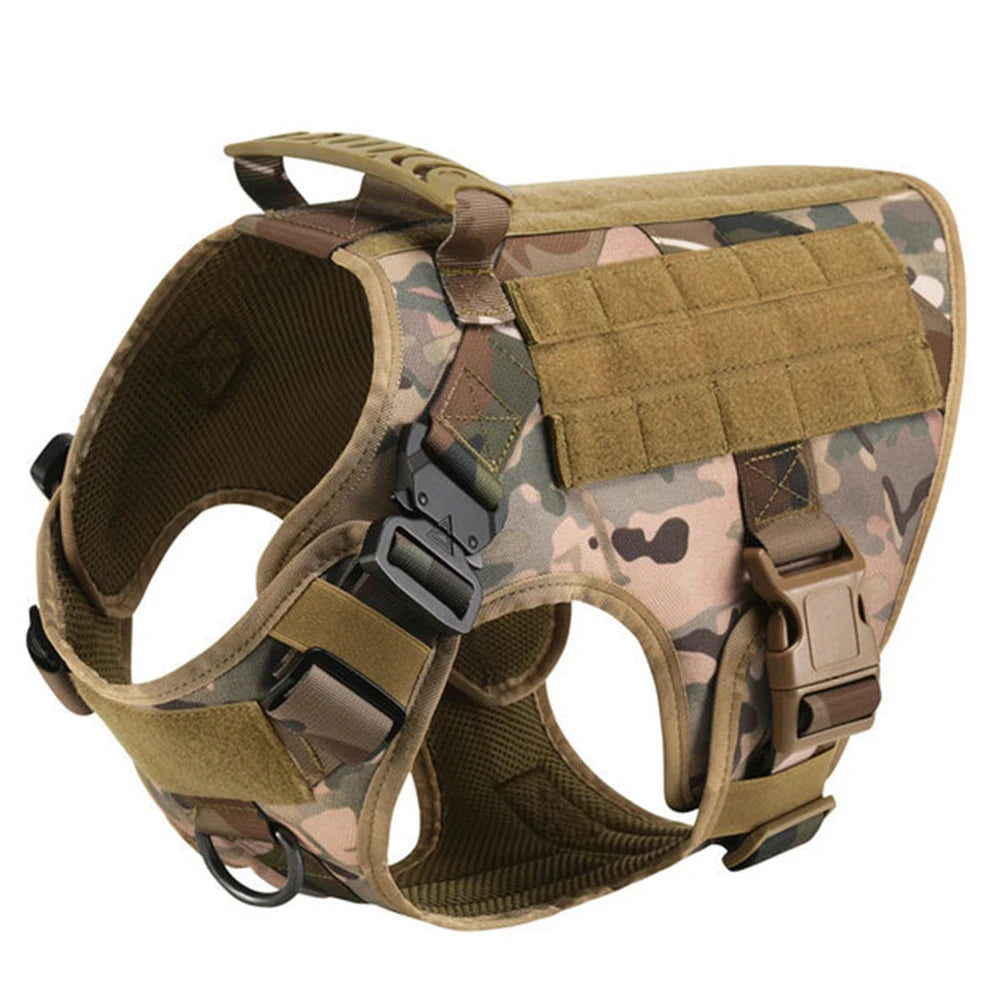 Padded Dog Harness And Leash Set For Training Walking