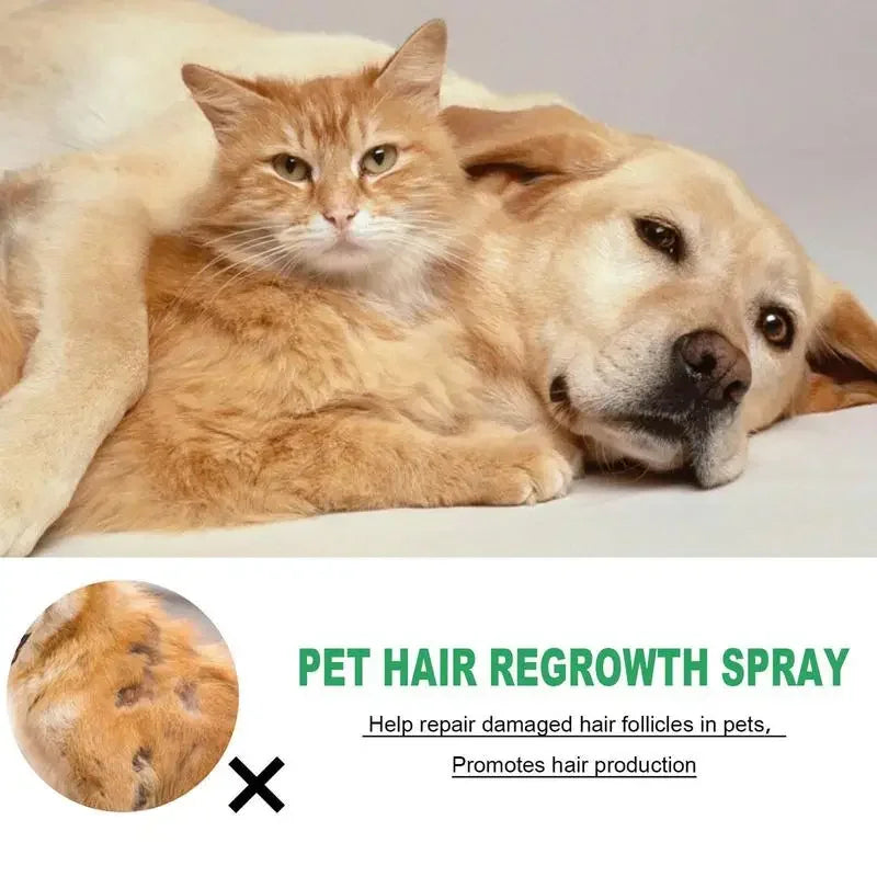 DUTRIEUX Cat Detangler Spray for Matted Hair Gentle Soothing Cats