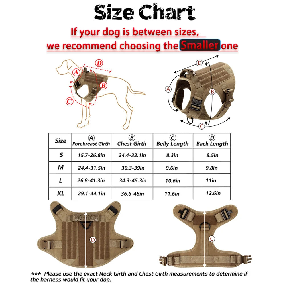 Padded Dog Harness And Leash Set For Training Walking