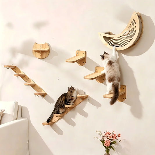 CWV Wall Mounted Cat Shelves And Moon Hammock Perches