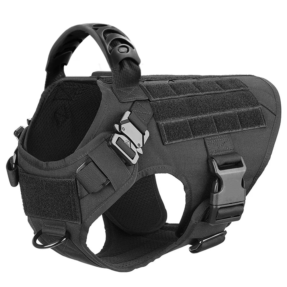 Padded Dog Harness And Leash Set For Training Walking