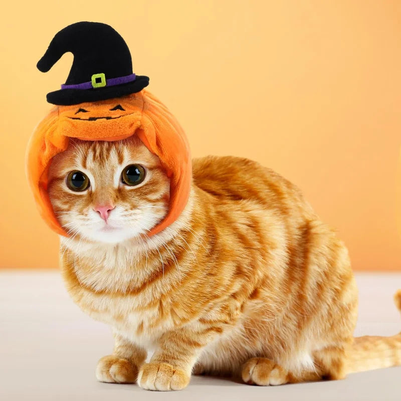 Pumpkin Hat Set For Cats And Dogs Halloween Party