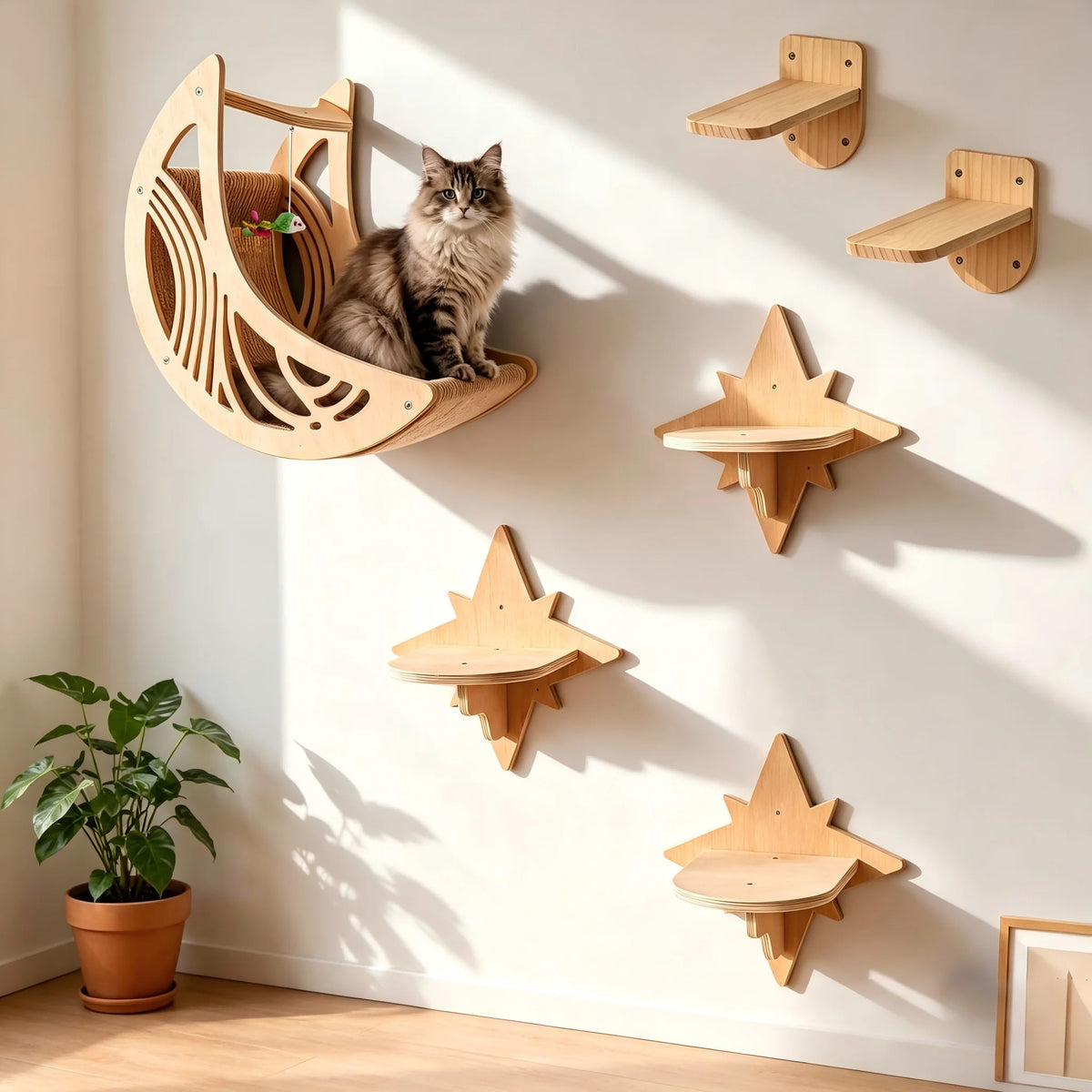 CWV Wall Mounted Cat Shelves And Moon Hammock Perches