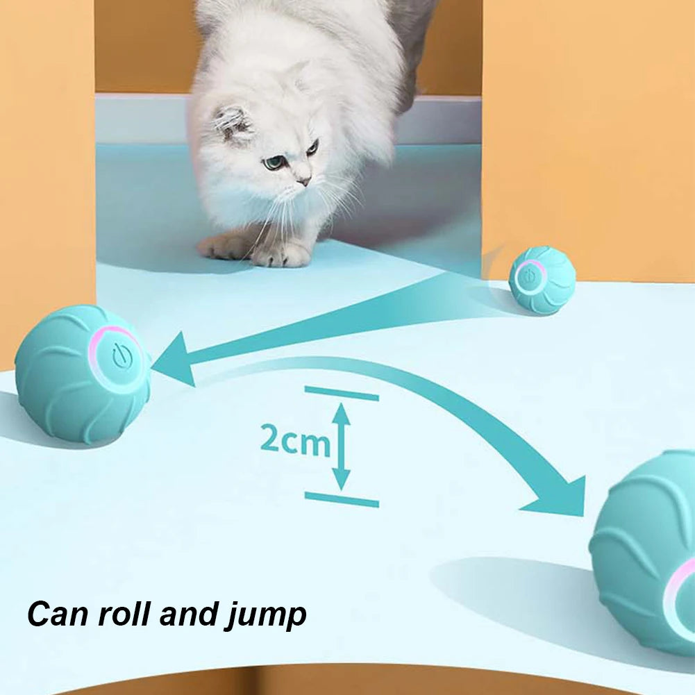Cat Rolling Ball Interactive Cat Toy Ball USB Rechargeable