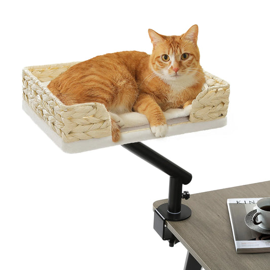 Cat Desk Bed 360 Rotatable Indoor Cat Stand