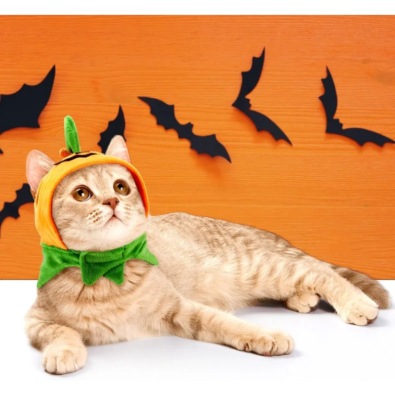 Pumpkin Hat Set For Cats And Dogs Halloween Party