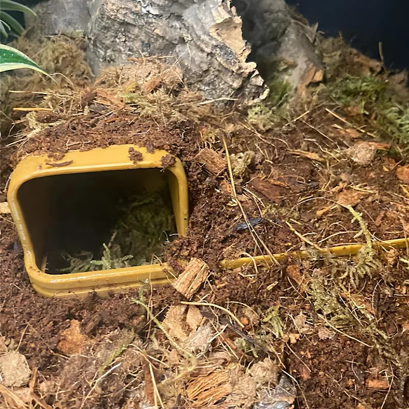 Terrarium Hideout Cave For Reptile Pets Lizards Turtles Spiders