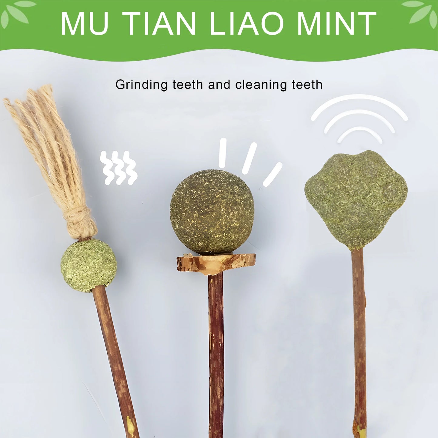 Cat Chew Sticks Natural Catnip Toys For Kitten Dental Care