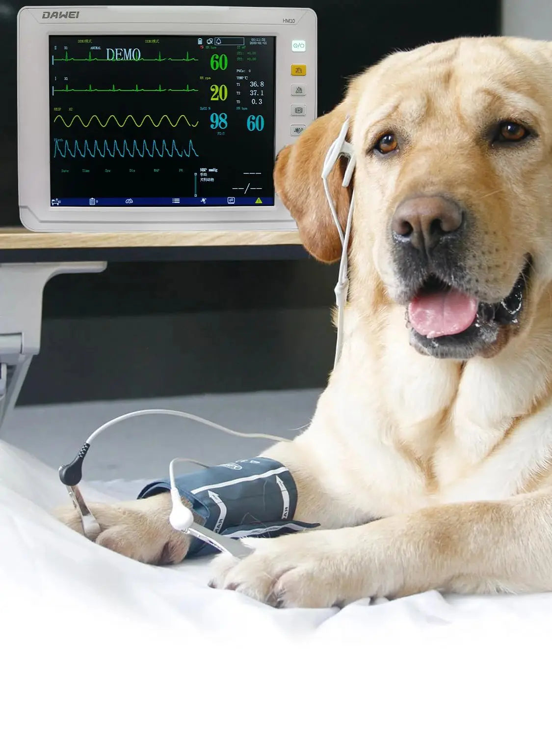 DAWEI Portable Veterinary Monitor 6 Parameter for Clinic