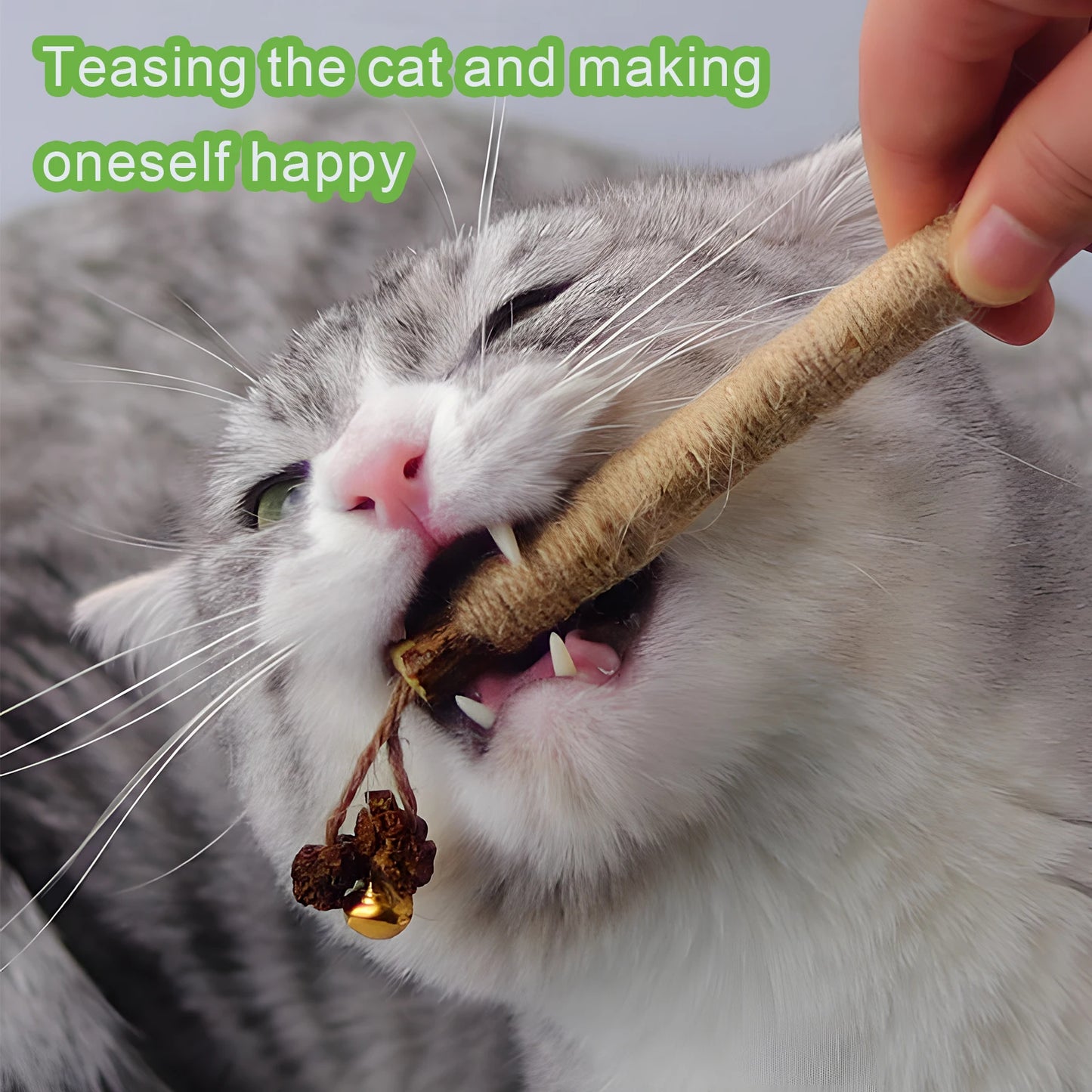 Cat Chew Sticks Natural Catnip Toys For Kitten Dental Care