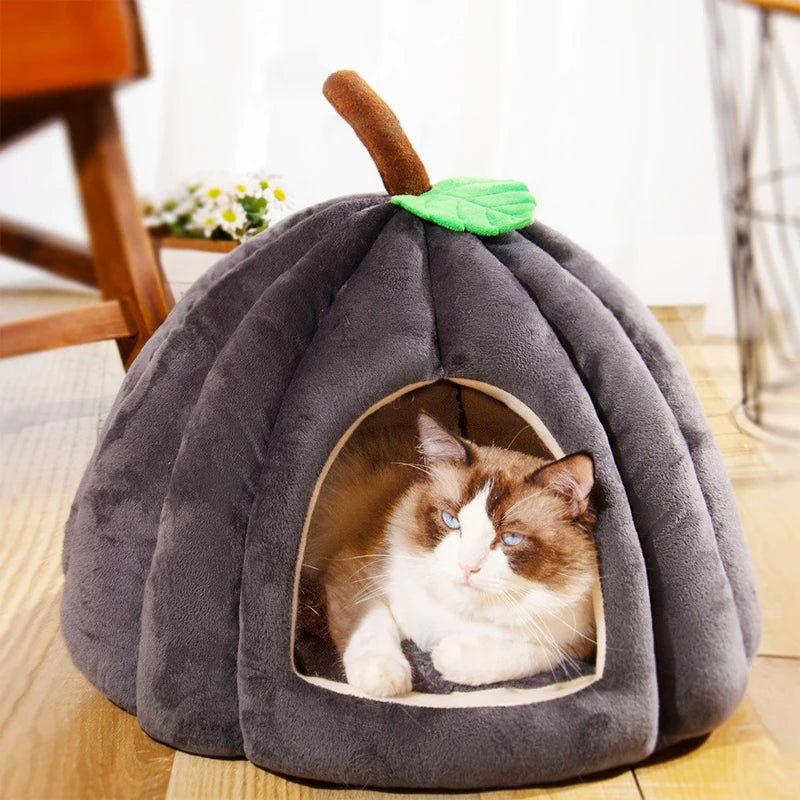 Guangdong 3D Pumpkin Pet House Semi Enclosed Warm Bed
