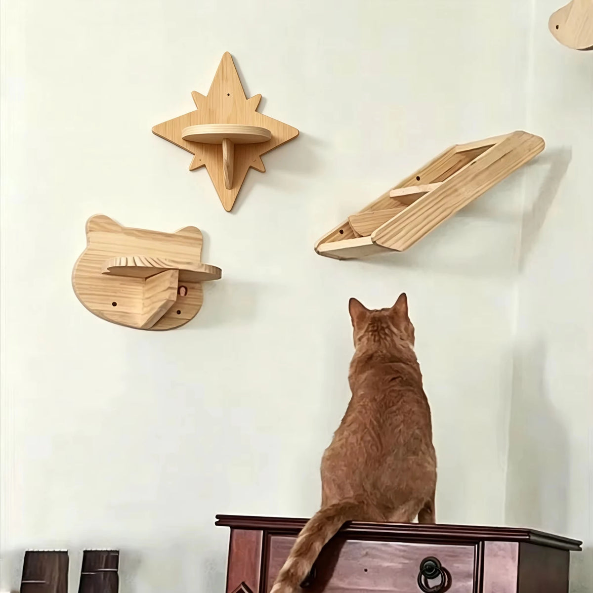 CWV Wall Mounted Cat Shelves And Moon Hammock Perches