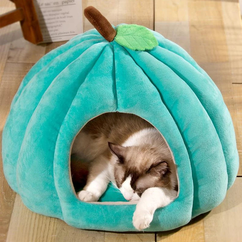 Guangdong 3D Pumpkin Pet House Semi Enclosed Warm Bed