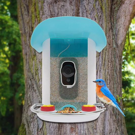 Chemical Smart Bird Feeder With Camera