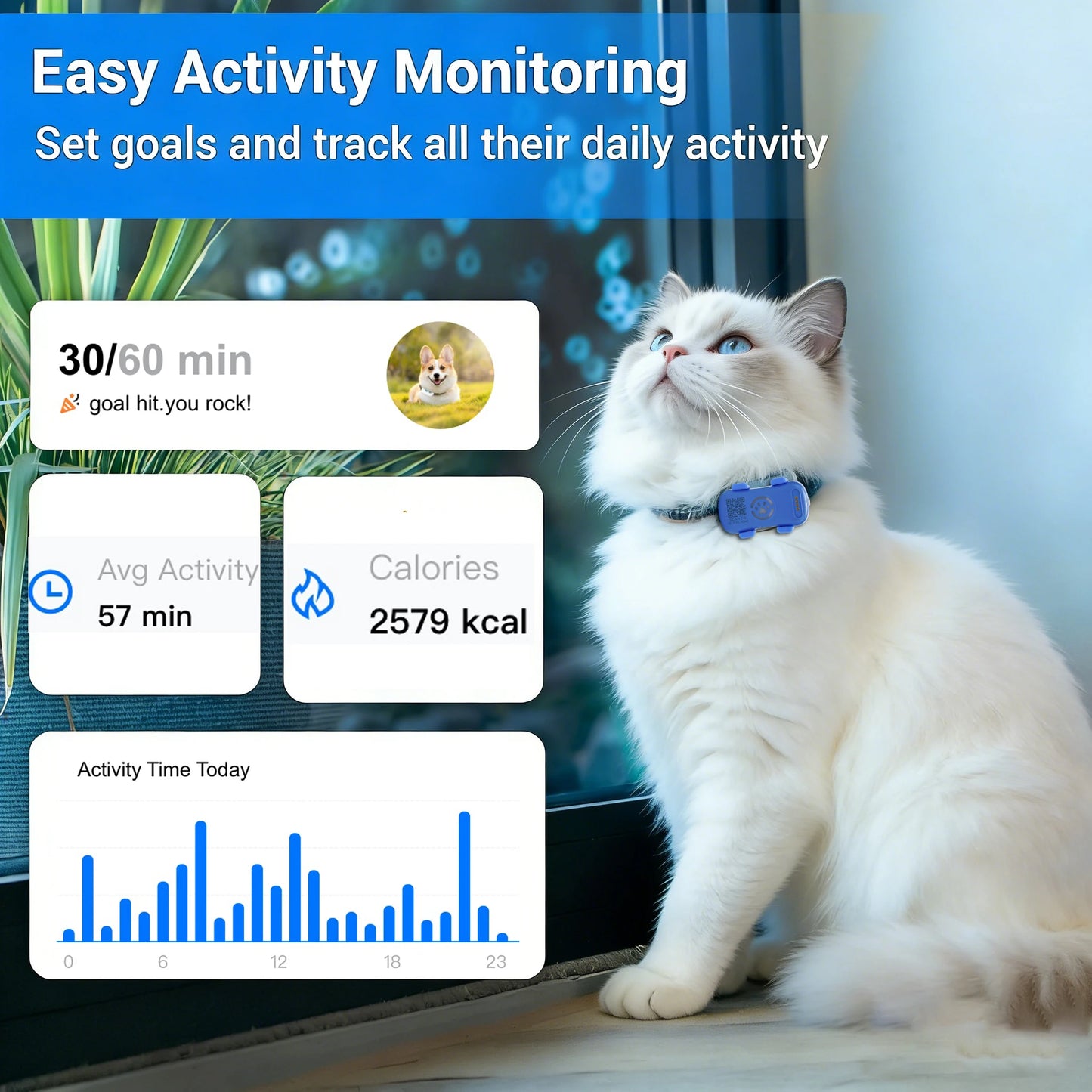 GPS Pet Tracker Real Time Tracking for Pets