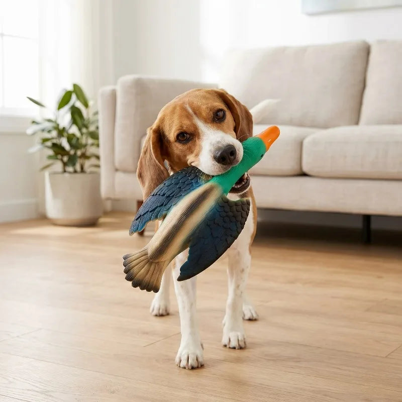 Duck Dog Toy With Squeaker For Interactive Chew Play